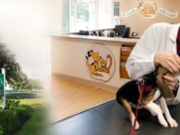 Veterinarian examining a puppy beside Animal Hospital of Sullivan County reception area and hospital sign.