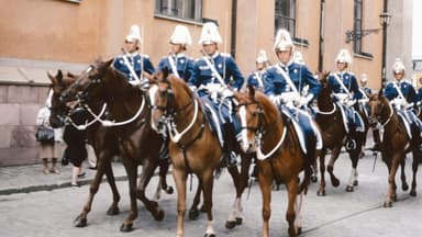 U.S. Army’s 250th Anniversary Parade in D.C. Sparks Nationwide ‘No Kings’ Protests