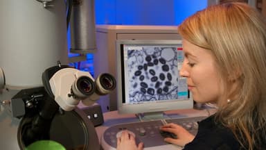 NIH Highlights Advanced MRI for Microscopic Brain Mapping