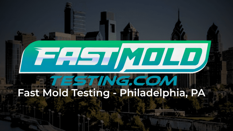 Fast mold testing best mold inspection & testing company in philadelphia, pa of 2026