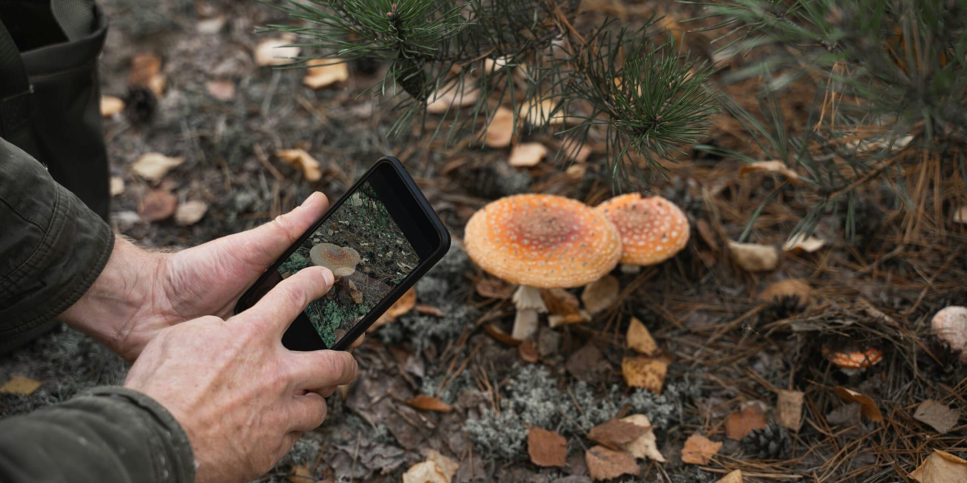 Experts Question FBI’s Bioterrorism Claims in Fungus Smuggling Case