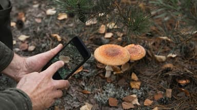 Experts Question FBI’s Bioterrorism Claims in Fungus Smuggling Case