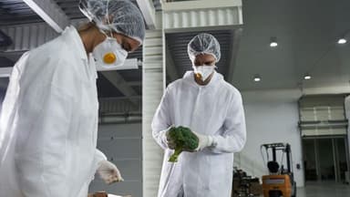 World Food Safety Day 2025 Emphasizes ‘Science in Action’ to Combat Foodborne Illnesses