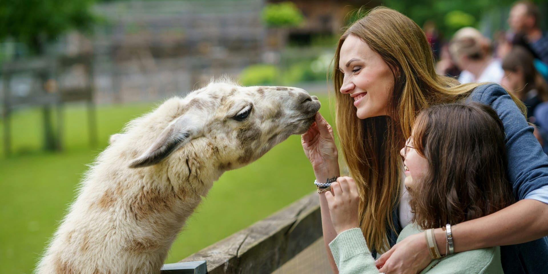 World Animal Day Celebrated Across the U.S.