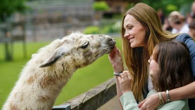 World Animal Day Celebrated Across the U.S.