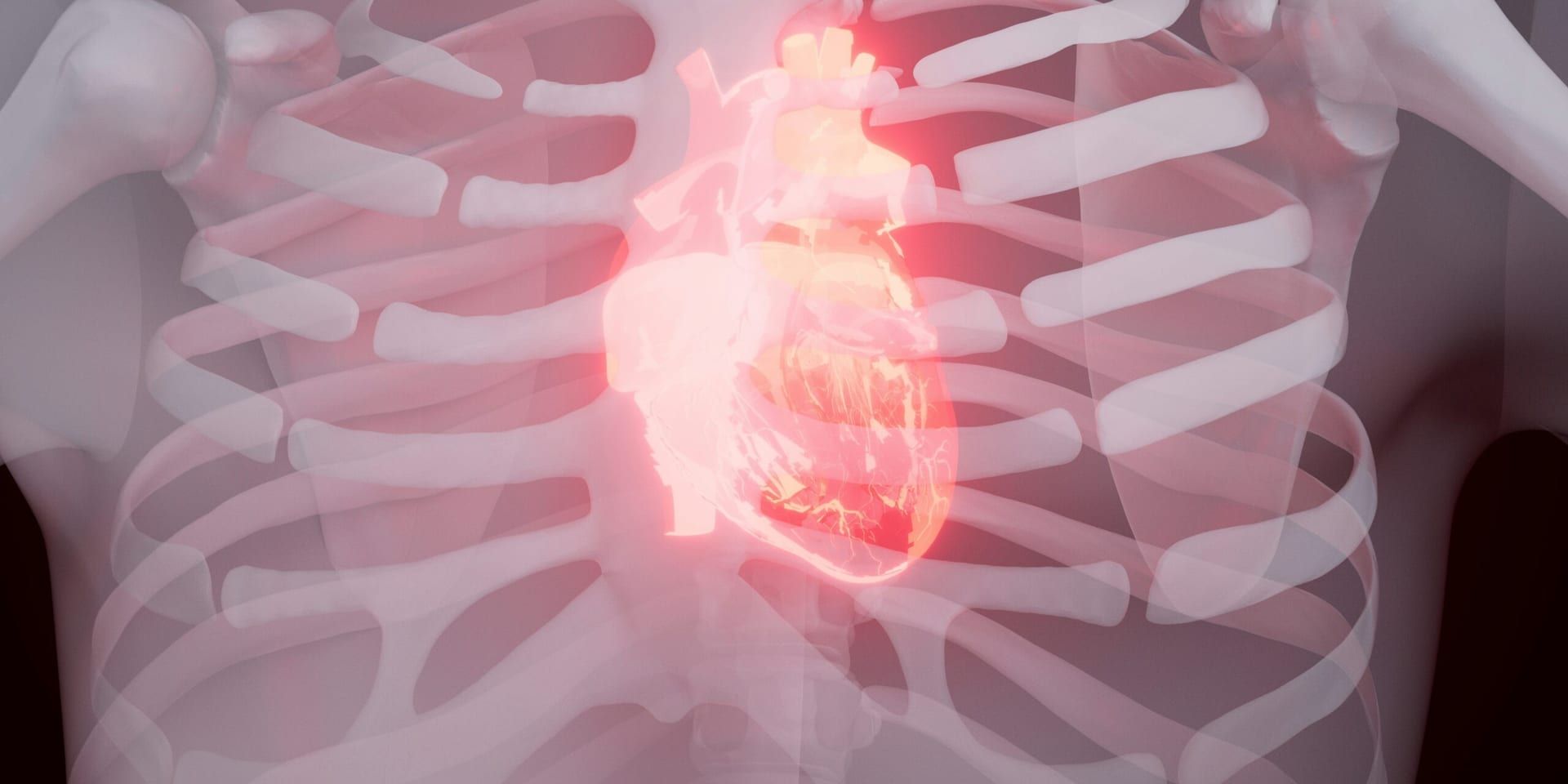 New Study Links Chronic Cannabis Use to Elevated Cardiovascular Risks