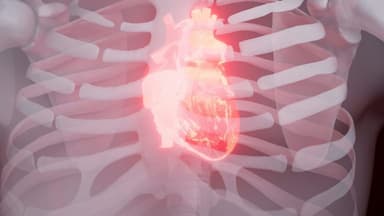 New Study Links Chronic Cannabis Use to Elevated Cardiovascular Risks