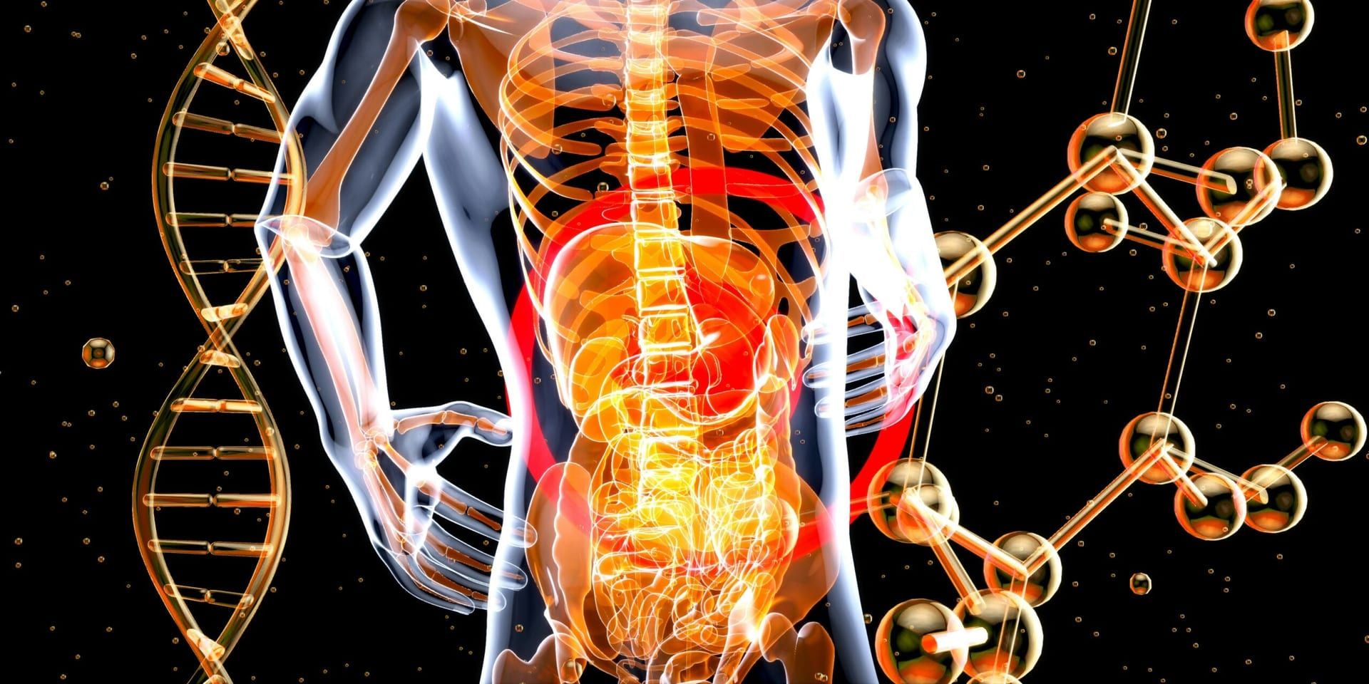Mayo Clinic Identifies Genetic Factor in Chemotherapy-Related Liver Damage