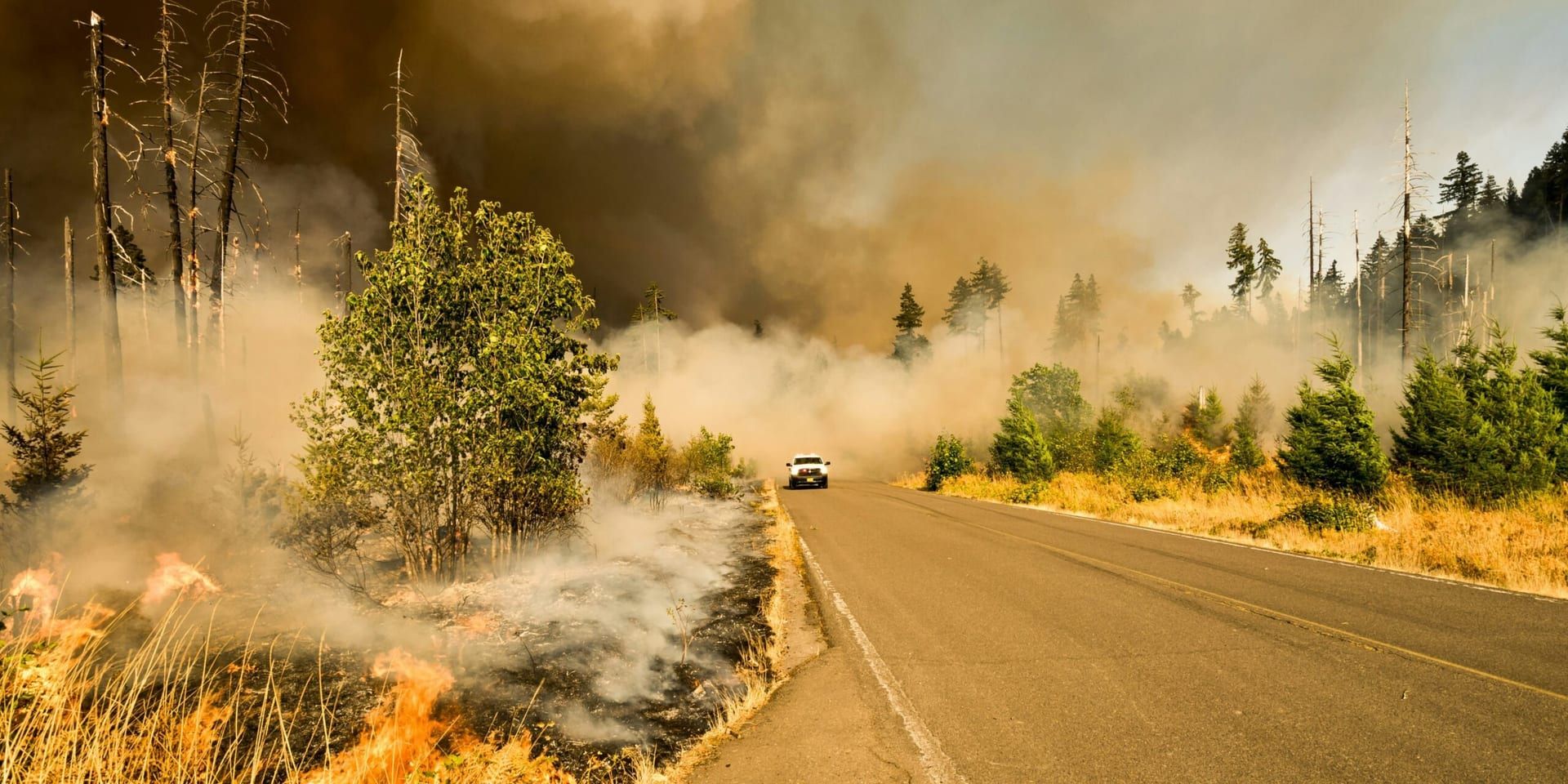 U.S. Climate Prediction Center Forecasts Hotter Summer in 2025, Raising Concerns Over Health and Wildfire Risks