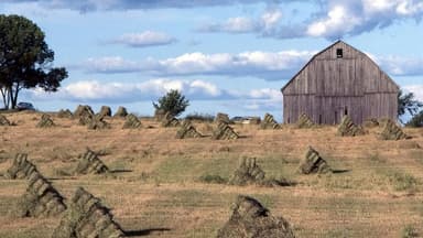States Race to Secure $50 Billion Rural Health Fund as Federal Deadline Nears