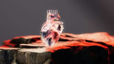 New Heart‑Health Calculator Rollout Highlighted in Podcast Briefing