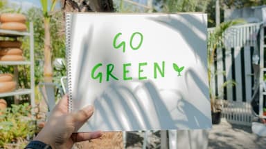 U.S. Tech Giants Lead the Charge in Green Innovation