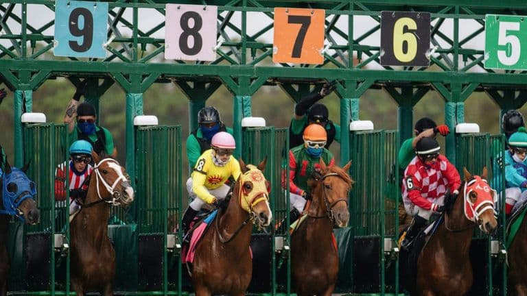 Fanatics and BetMGM Launch High-Stakes Sports Betting Promotions Ahead of Major Events