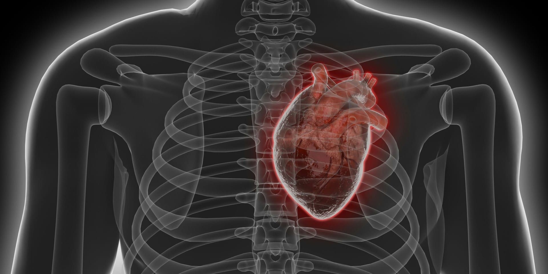 Antibody Therapy and Nutritional Study Reveal New Avenues for Heart Disease Prevention