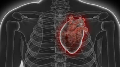 Antibody Therapy and Nutritional Study Reveal New Avenues for Heart Disease Prevention