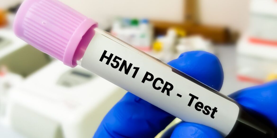 Ofits 2025 01 19t055022.284